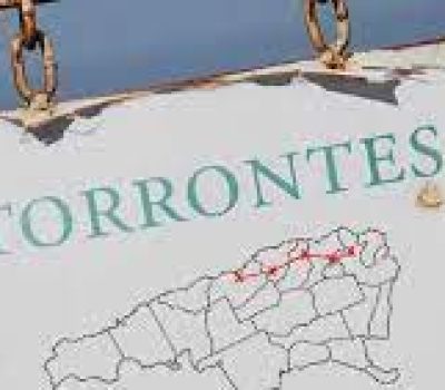 Torrontés, an enchanting and irresistible white